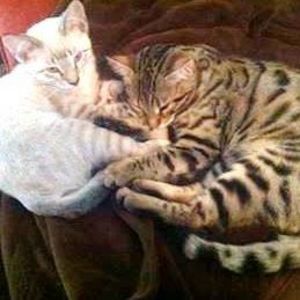 Meet your Posher, Sandi